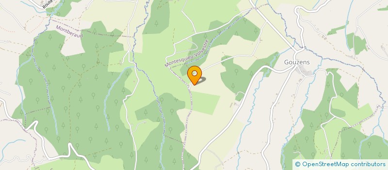 localisation de l'entreprise MONSIEUR TONY TEYCHENE  GOUZENS