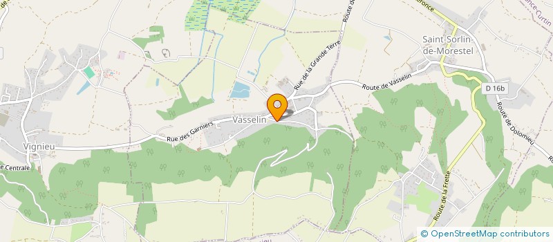 localisation de l'entreprise MONSIEUR TONY TRICARICO  VIGNIEU