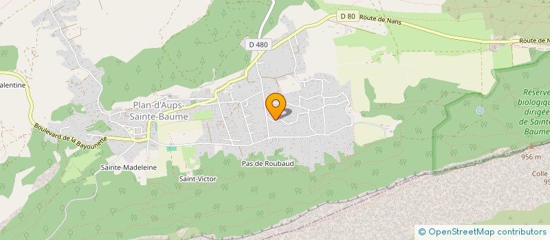 localisation de l'entreprise MONSIEUR TONY VAN DIONANT  PLAN-D'AUPS-SAINTE-BAUME