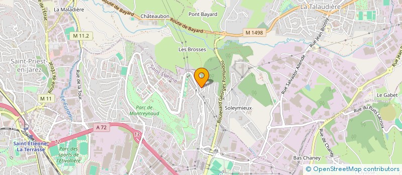 localisation de l'entreprise MONSIEUR TORRANCE SIGAUD  SAINT-ETIENNE