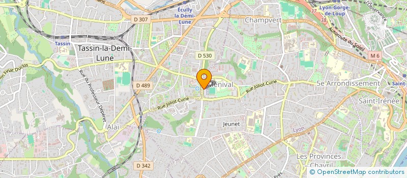 localisation de l'entreprise MONSIEUR TOUPARK ERHARUYI  LYON