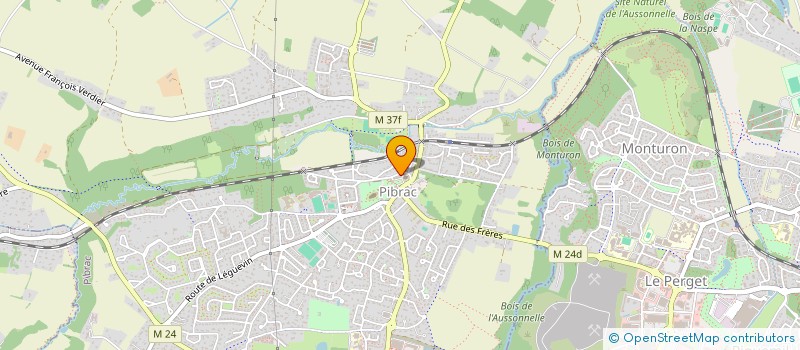 localisation de l'entreprise MONSIEUR TREVIS DARAS  PIBRAC