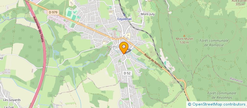 localisation de l'entreprise MONSIEUR TRISTAN LICCHESE à CEYZERIAT