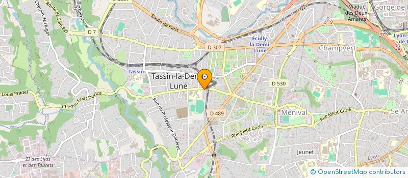 localisation de l'entreprise MONSIEUR TRISTAN SALDINARI  TASSIN-LA-DEMI-LUNE