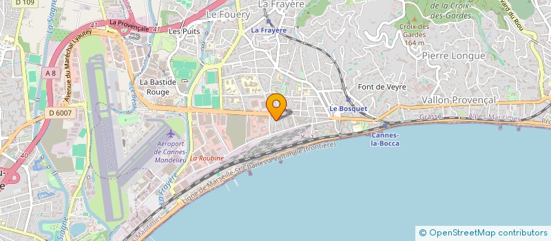 localisation de l'entreprise MONSIEUR TUDOR BINZARI  CANNES