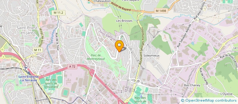 localisation de l'entreprise MONSIEUR TURGAY ODEMIS  SAINT-ETIENNE