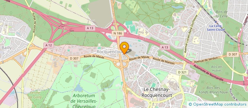 localisation de l'entreprise MONSIEUR TURIAF RAYMOND  LE CHESNAY-ROCQUENCOURT