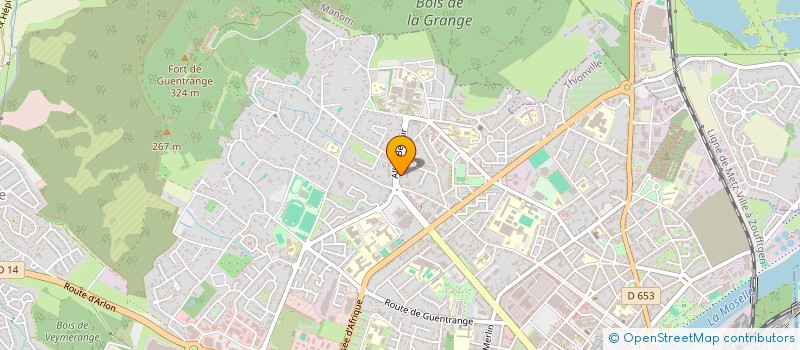 localisation de l'entreprise MONSIEUR TYLER MURPHY  THIONVILLE