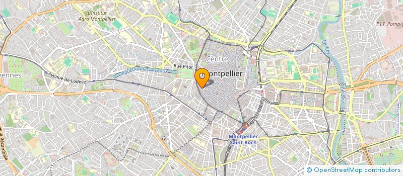localisation de l'entreprise MONSIEUR TZVETAN FILIPOV à MONTPELLIER