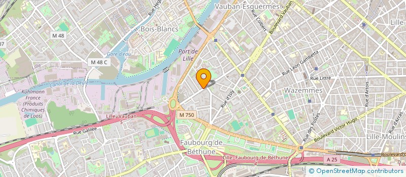 localisation de l'entreprise MONSIEUR UCHE NNODIMELE à LILLE