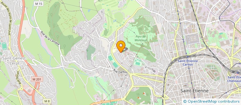 localisation de l'entreprise MONSIEUR UGUR DEMIRTAS  SAINT-ETIENNE