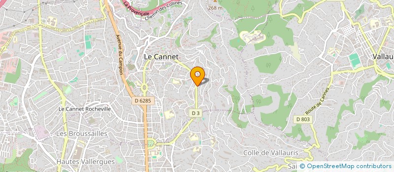 localisation de l'entreprise MONSIEUR ULYSSE BEZZONE à LE CANNET