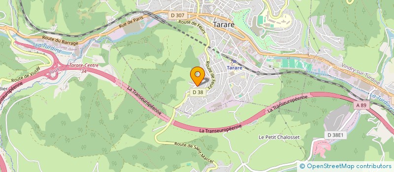 localisation de l'entreprise MONSIEUR ULYSSE LEON  TARARE