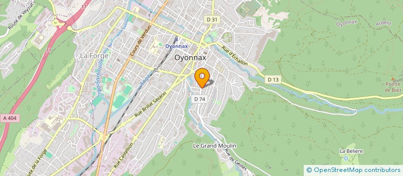 localisation de l'entreprise MONSIEUR UMAIR BUTT à OYONNAX