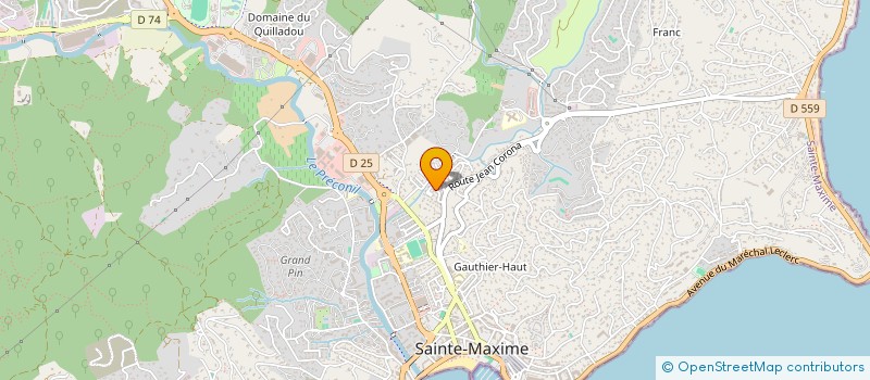 localisation de l'entreprise MONSIEUR VADIM MANDEL à SAINTE-MAXIME