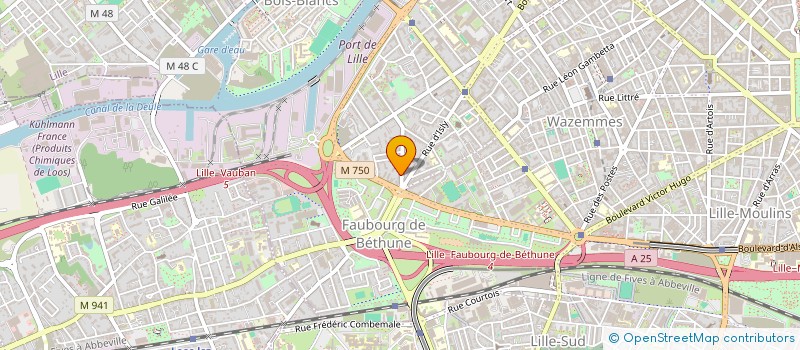 localisation de l'entreprise MONSIEUR VALENTIN BOUIS à LILLE