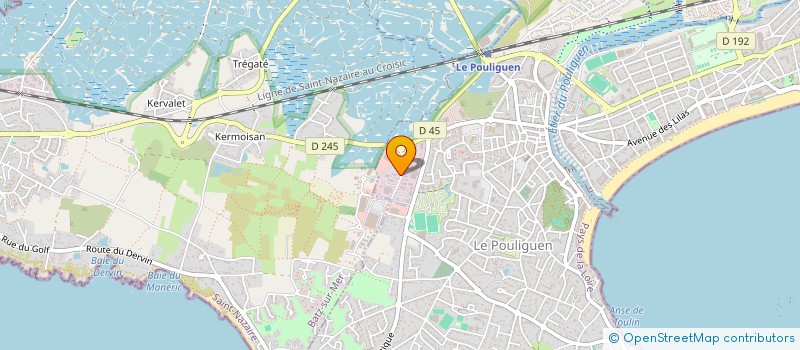 localisation de l'entreprise MONSIEUR VALENTIN BOURDIC à LE POULIGUEN