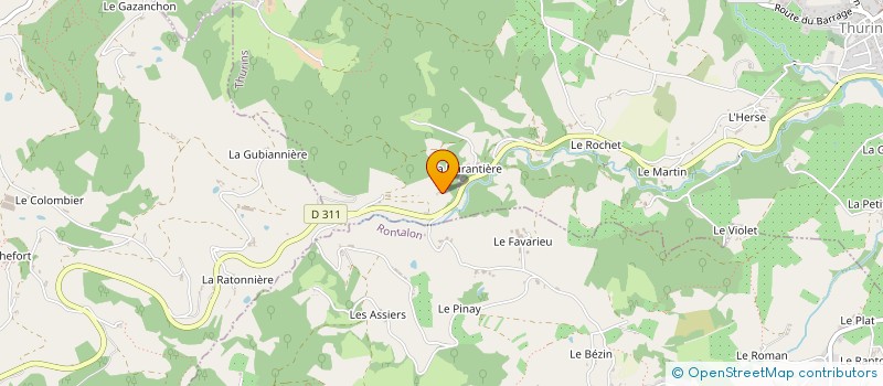 localisation de l'entreprise MONSIEUR VALENTIN BRUYAS  THURINS