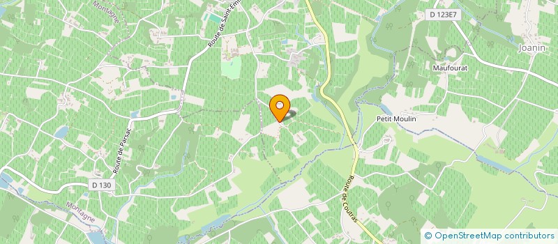 localisation de l'entreprise MONSIEUR VALENTIN CASTAGNA  PUISSEGUIN