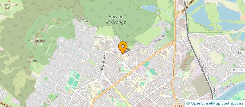 localisation de l'entreprise MONSIEUR VALENTIN CIOBANU  THIONVILLE