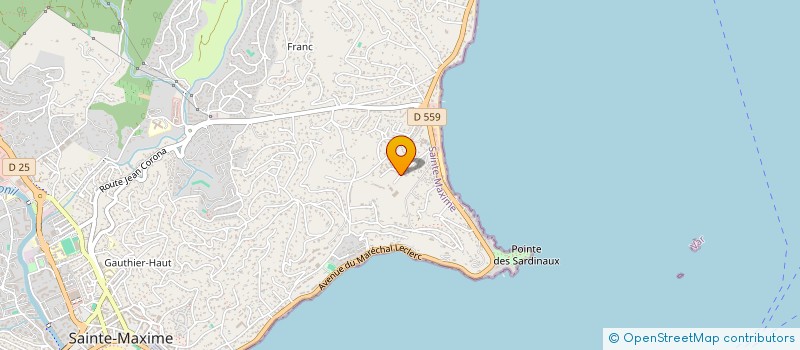 localisation de l'entreprise MONSIEUR VALENTIN DACHEZ à SAINTE-MAXIME