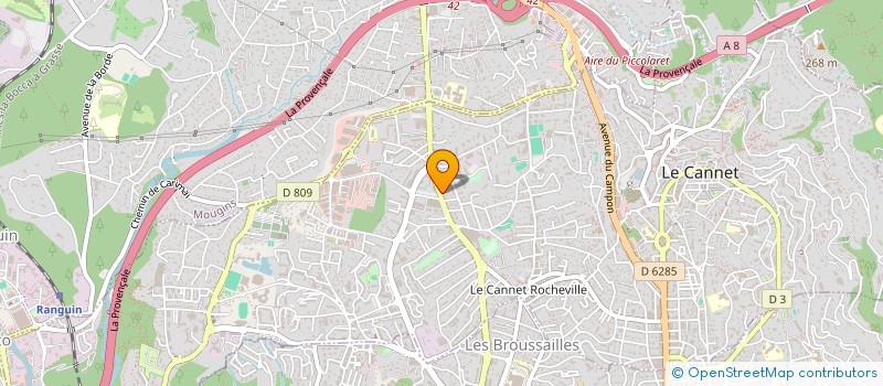 localisation de l'entreprise MONSIEUR VALENTIN DRAGOMIR à LE CANNET