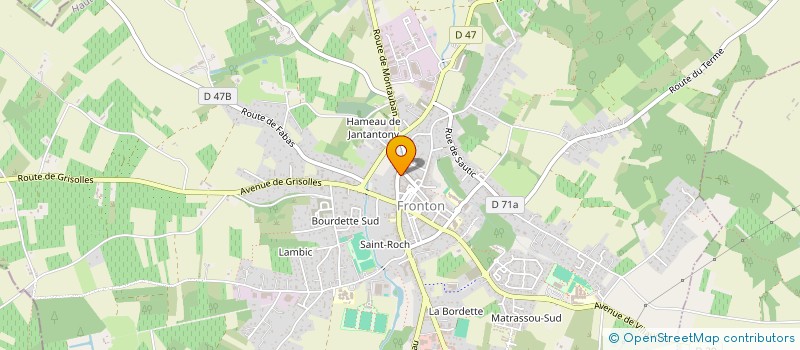 localisation de l'entreprise MONSIEUR VALENTIN DROUHOT  FRONTON