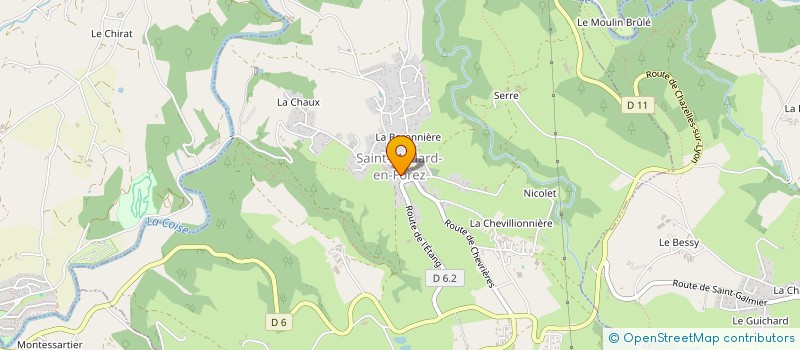 localisation de l'entreprise MONSIEUR VALENTIN DURIS  SAINT-MEDARD-EN-FOREZ