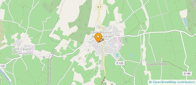 localisation de l'entreprise MONSIEUR VALENTIN FERNANDEZ  SAINT-MAURICE-DE-CAZEVIEILLE