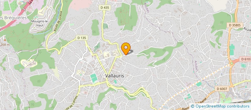 localisation de l'entreprise MONSIEUR VALENTIN GARBUZ à VALLAURIS