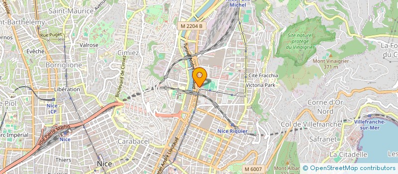 localisation de l'entreprise MONSIEUR VALENTIN IONESCU  NICE