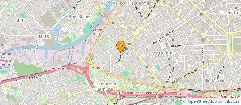 localisation de l'entreprise MONSIEUR VALENTIN JANSEN à LILLE