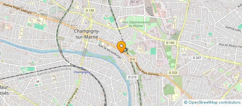 localisation de l'entreprise MONSIEUR VALENTIN KOSTOV à CHAMPIGNY-SUR-MARNE