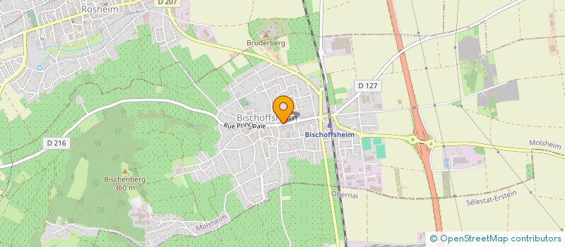 localisation de l'entreprise MONSIEUR VALENTIN LEHMANN  BISCHOFFSHEIM