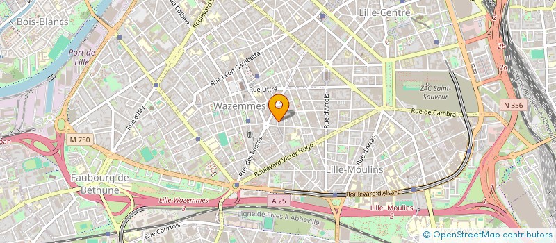 localisation de l'entreprise MONSIEUR VALENTIN LINDIVAT à LILLE