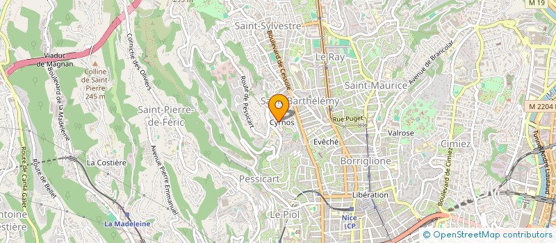 localisation de l'entreprise MONSIEUR VALENTIN PICAVET  NICE