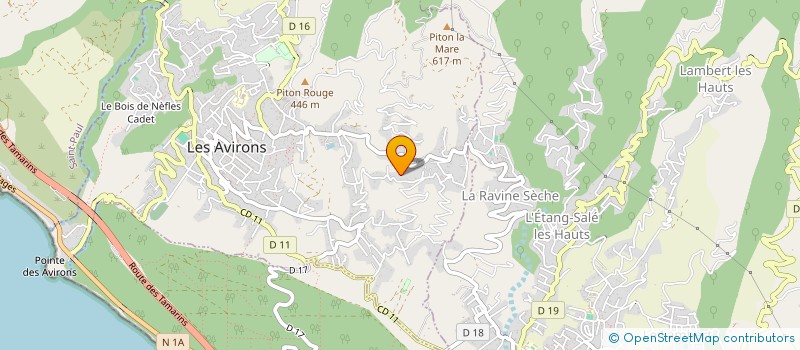 localisation de l'entreprise MONSIEUR VALENTIN RIVIERE  LES AVIRONS