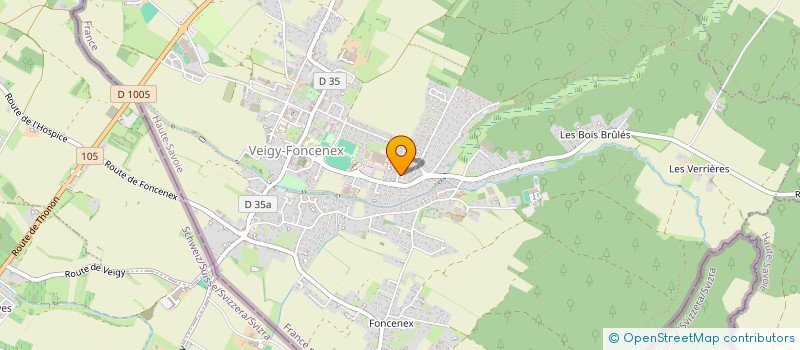 localisation de l'entreprise MONSIEUR VALENTIN SCHOENHENZ  VEIGY-FONCENEX