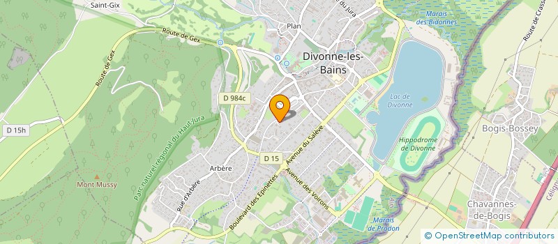 localisation de l'entreprise MONSIEUR VALENTIN TEPERIKOV  DIVONNE-LES-BAINS