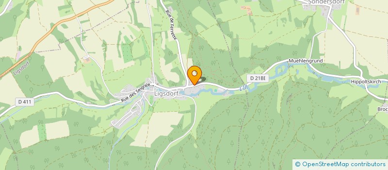 localisation de l'entreprise MONSIEUR VALERII KALUHIN  LIGSDORF