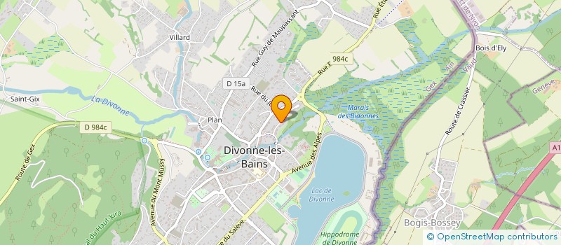 localisation de l'entreprise MONSIEUR VALERIJS VORONCOVS à DIVONNE-LES-BAINS