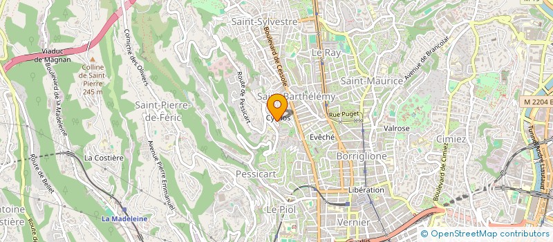 localisation de l'entreprise MONSIEUR VALERIU BRINZA à NICE
