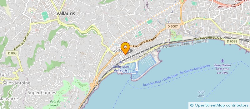 localisation de l'entreprise MONSIEUR VALERIU MEDIC à VALLAURIS