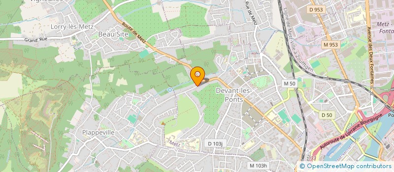 localisation de l'entreprise MONSIEUR VALERIU TIGANCIUC  METZ