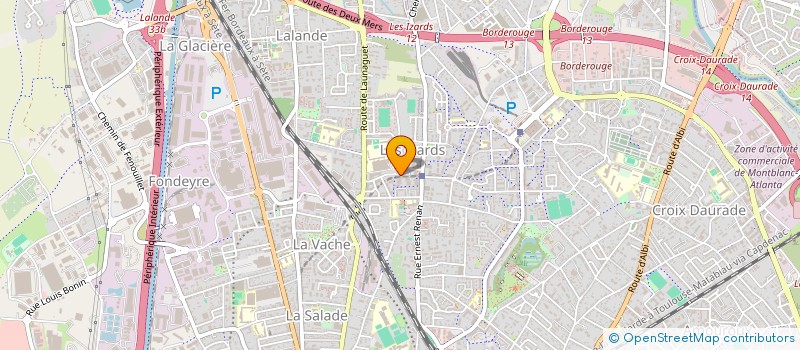 localisation de l'entreprise MONSIEUR VASIL VASILEV  TOULOUSE