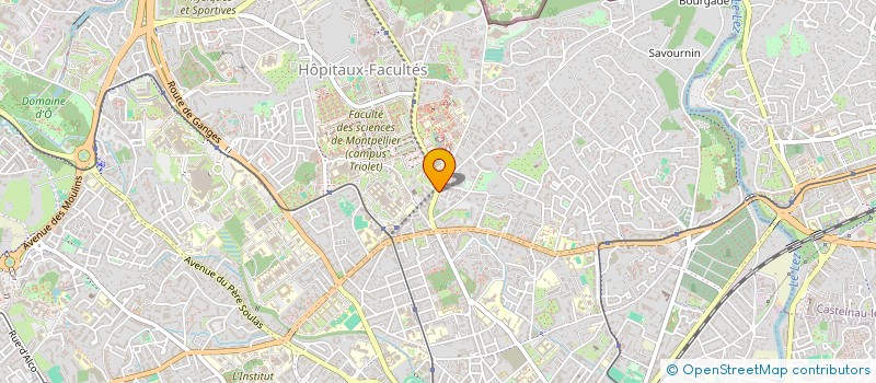 localisation de l'entreprise MONSIEUR VASILE BOLOG à MONTPELLIER