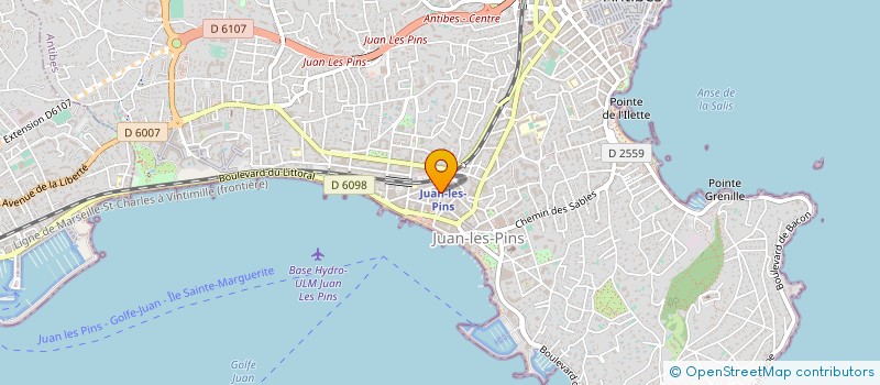 localisation de l'entreprise MONSIEUR VASILE CIPRIAN RADUCANU à ANTIBES