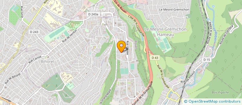 localisation de l'entreprise MONSIEUR VASILE MINDROASA à ROUEN