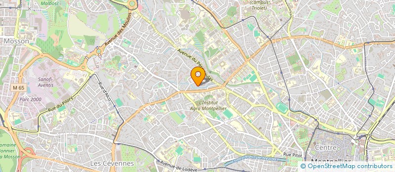 localisation de l'entreprise MONSIEUR VASILE STOIAN à MONTPELLIER