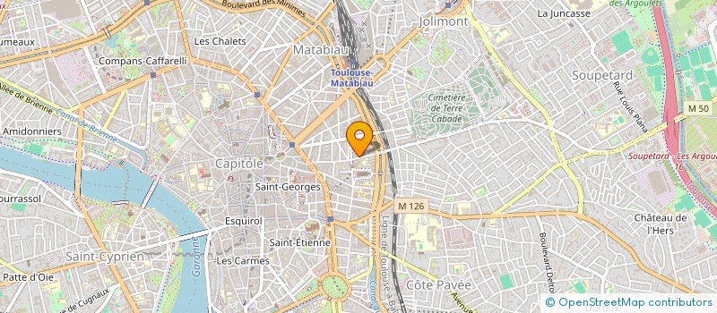 localisation de l'entreprise MONSIEUR VASILE VASILE  TOULOUSE